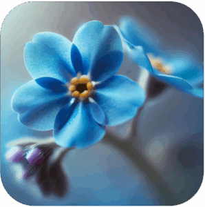 Afbeelding1