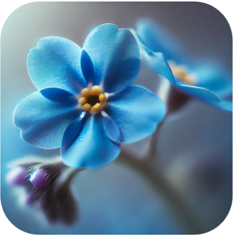 Afbeelding1